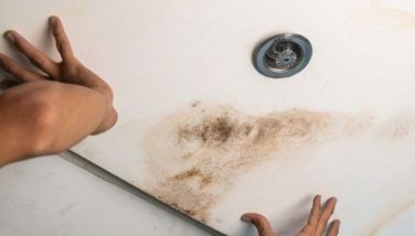 Home allergies persisting? It could be the mold lurking in your walls and ceiling