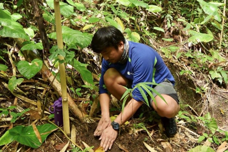 Maynilad pledges to plant record 220,000 trees in 2024