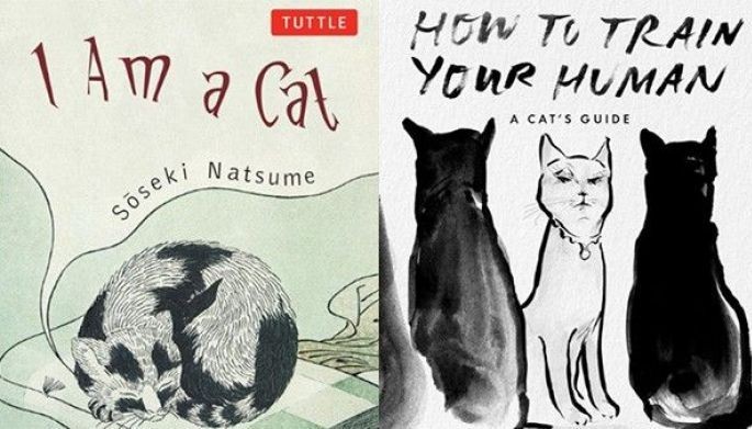 Deciphering cat language: 10 cat-centric books to read on International Cat Day 2024