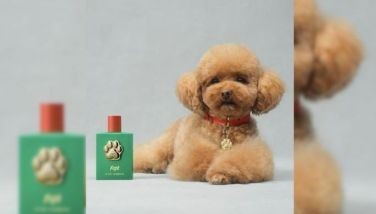 Dolce & Gabbana launches P6,200 dog perfume with free collar