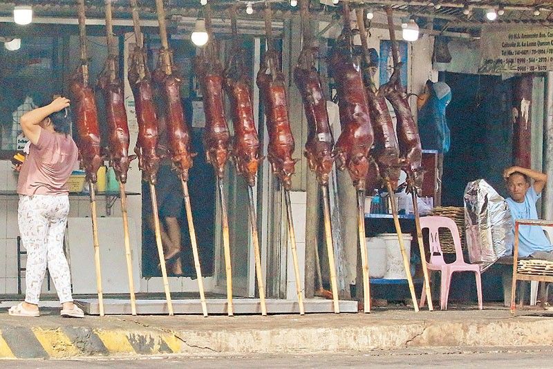 60 hogs seized over fake permits