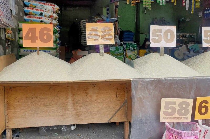 Lower rice prices to be felt in October â�� DA