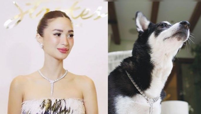 Heart Evangelista denies throwing shade after viral pic of pet Panda  wearing multi-million necklace | Philstar.com