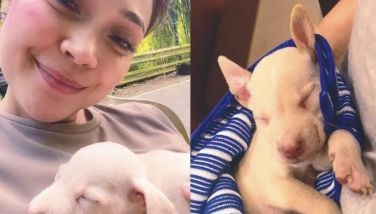 'Adopt don't shop': Jodi Sta. Maria promotes spaying, neutering, adopting strays