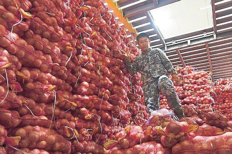 Over P30 million smuggled agricultural products seized