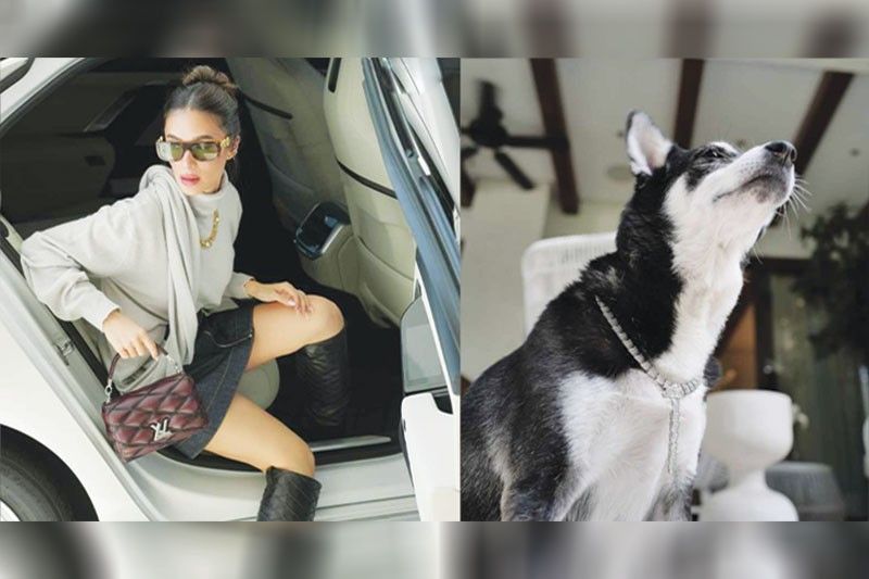 Heart pina-trend ang pagsusuot ng expensive necklace sa mga doggie; Pia ginamit ang â��cheeseâ�� sa mister