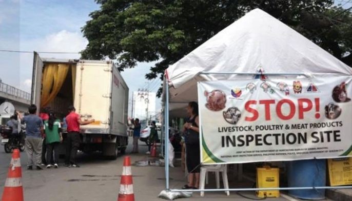 11 baboy naharang sa Quezon City positibo sa ASF