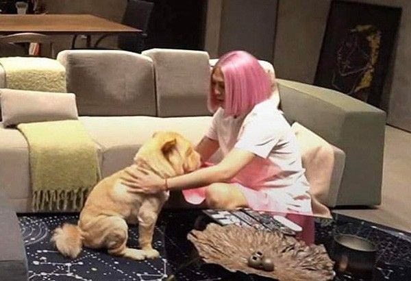 'My true friend': Vice Ganda mourns loss of 1st fur baby Chip In