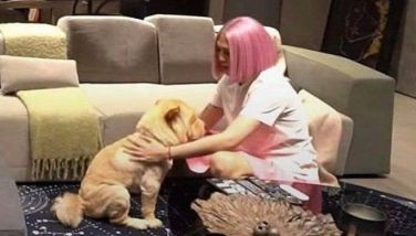 'My true friend': Vice Ganda mourns loss of 1st fur baby Chip In