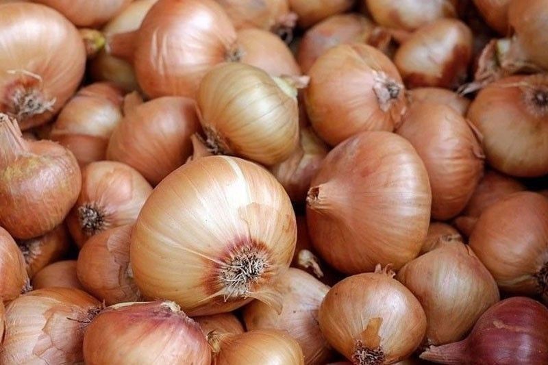 Philippines to import 16,000 MT yellow onions