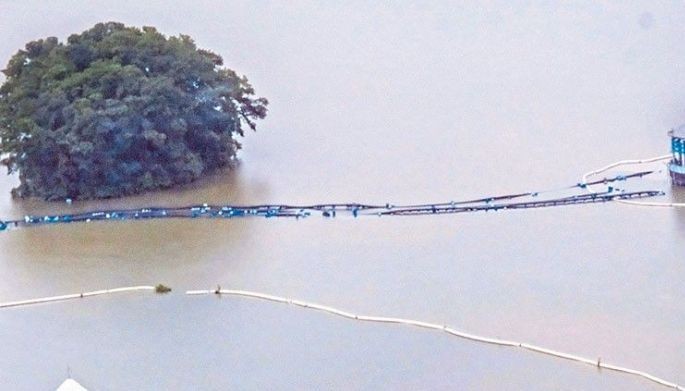 12 dead, 7 missing due to Enteng &ndash; NDRRMC
