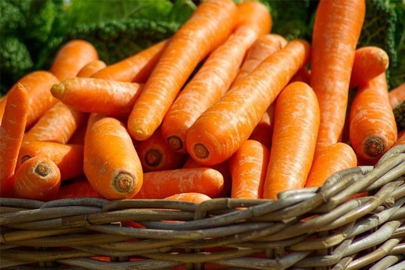 P21 million smuggled carrots, onions seized in Subic