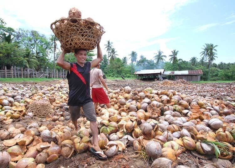 Farmers receive first processing facility funded by coco levy