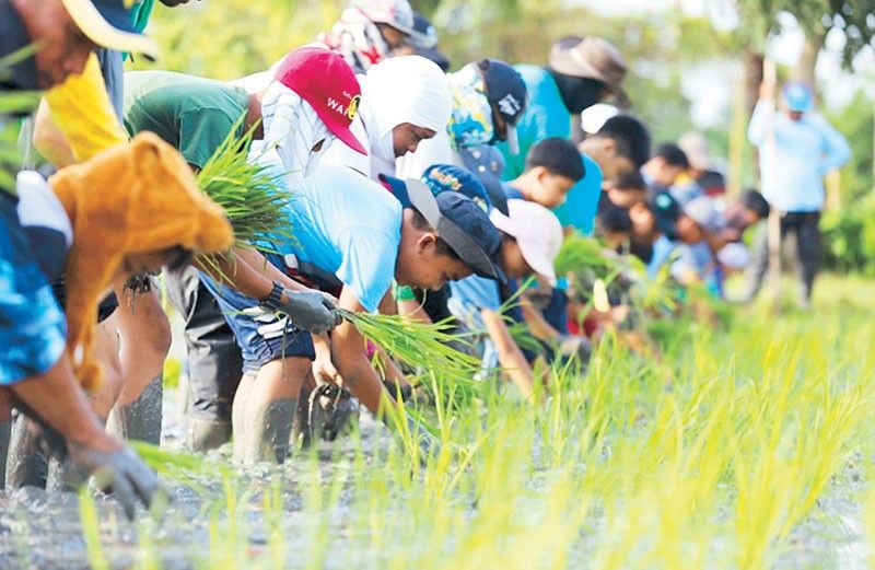 Creative program to engage youth in agriculture launched