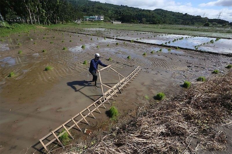 City farmers learn digital agriculture