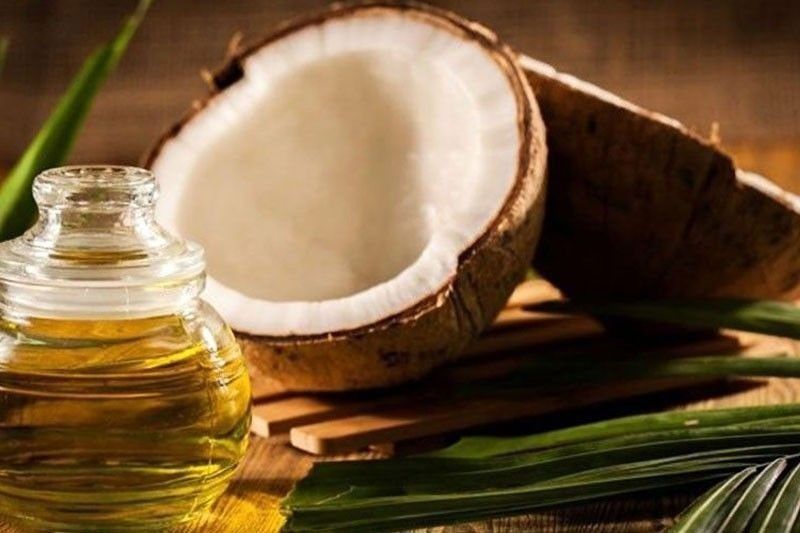 Creation of coconut oil mills in Eastern Samar sought