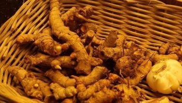 Beneficial spice: Health benefits of Luyang Dilaw