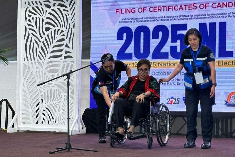 Ex-Comelec exec Guanzon files CONA for P3PWD party-list as 1st nominee