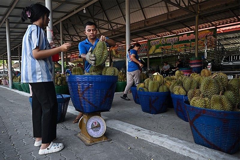 Durian ng Pinas planong dalhin sa New Zealand