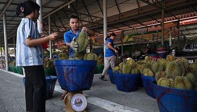 Durian ng Pinas planong dalhin sa New Zealand