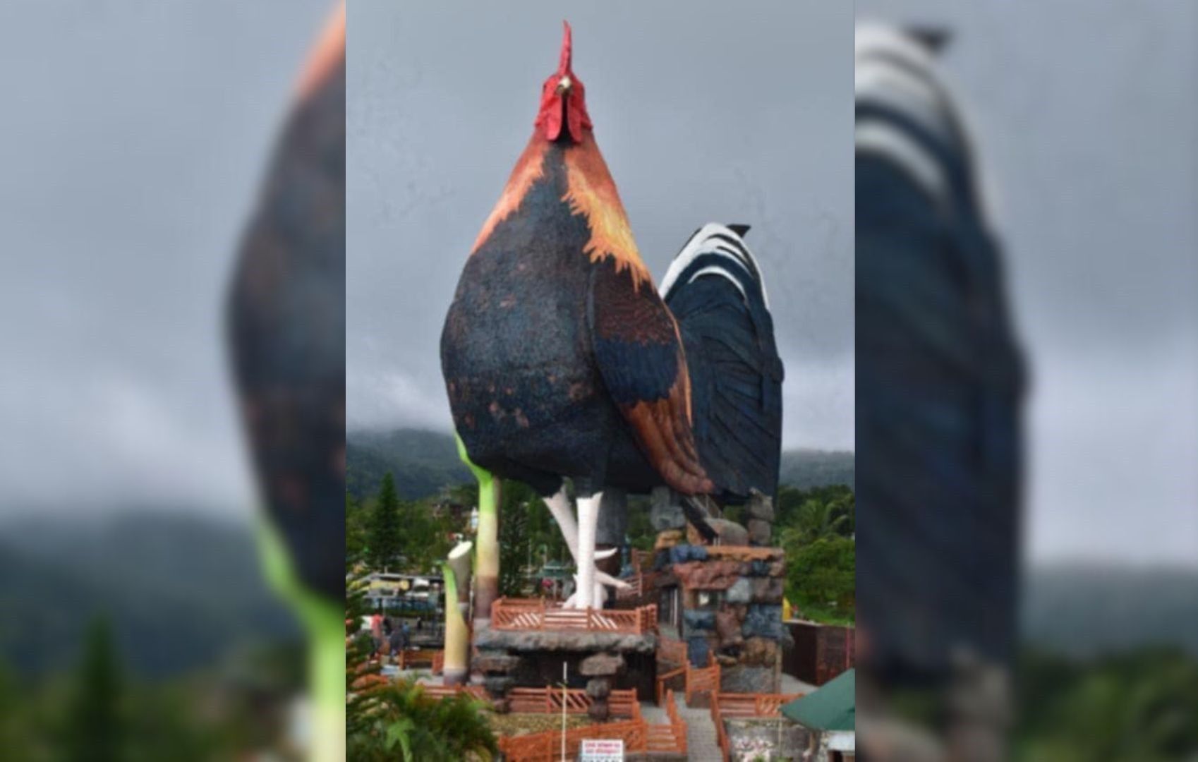 Giant rooster building in Negros earns Guinness World Record