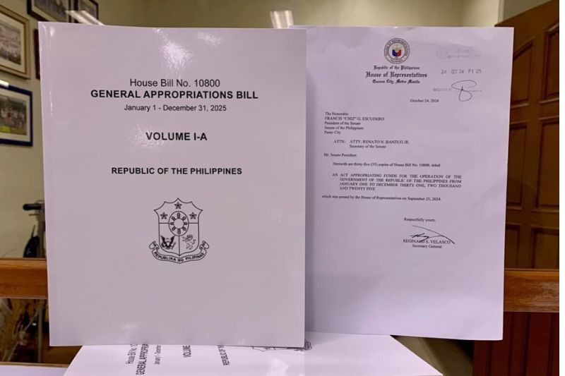 House submits amended P6.352 trillion national budget to Senate