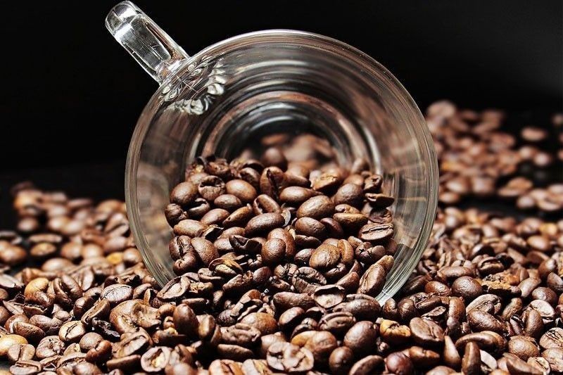 DA to invest P2 billion to perk up Philippines coffee output