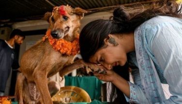 Nepal's day of the dog as part of Hindu celebrations