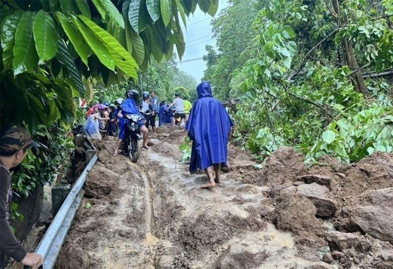 Over 1 million MT palay lost due to El NiÃ±o, typhoons