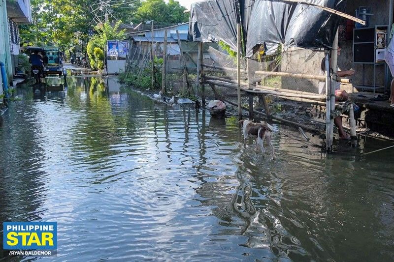 Imbestigasyon ng Kongreso sa flood control project, ok kay Pangulong Marcos