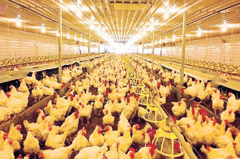 DA lifts import ban on poultry products from Michigan