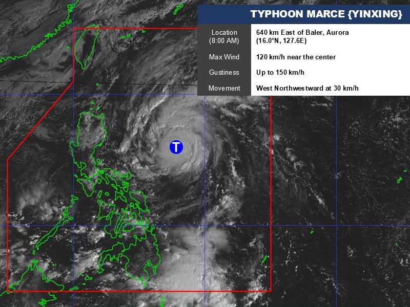 'Marce' now a typhoon