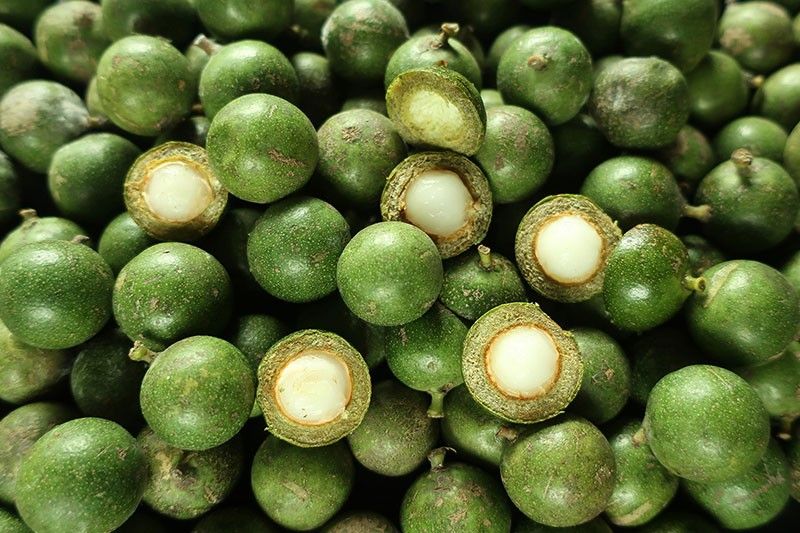 Get to know Buli, the fruit often mistaken for Calamansi