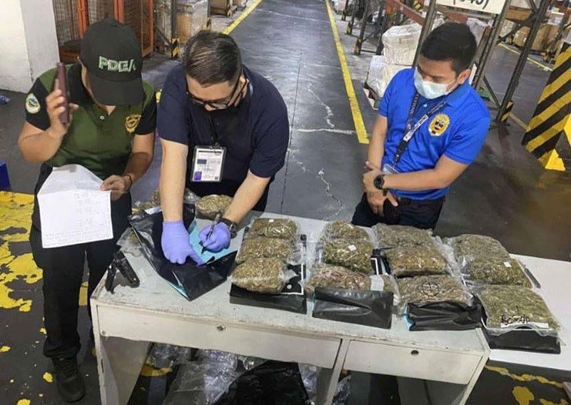 P10 milyong âhigh grade marijuanaâ nasabat sa NAIA