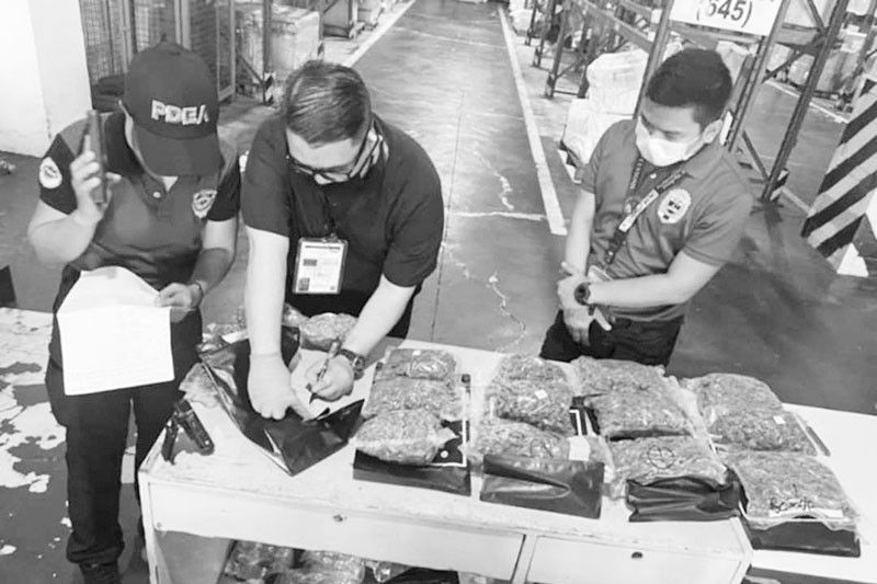 P10 milyong kush nasabat sa NAIA