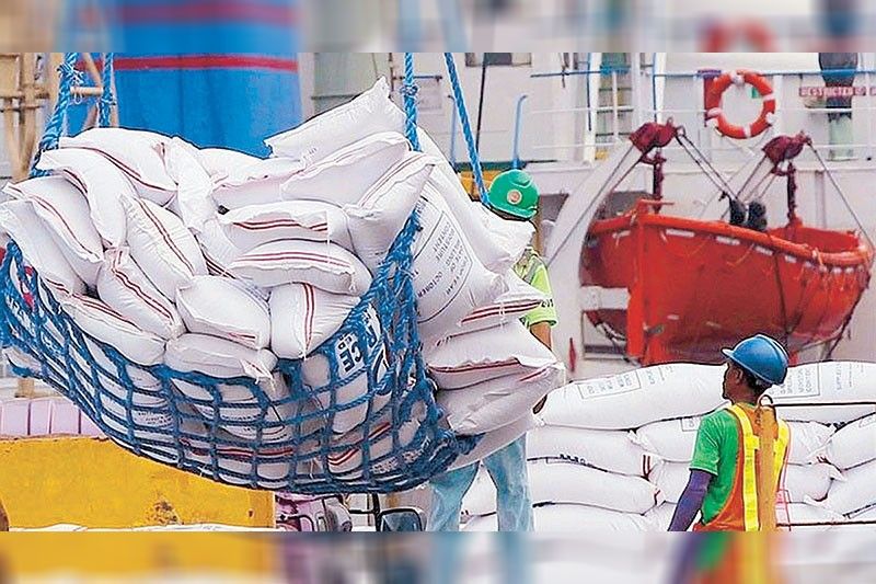 Rice imports hit new record high