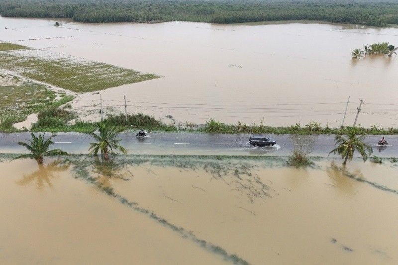 P1 bilyong quick response fund nasimot ng 5 magkakasunod na bagyo â DSWD