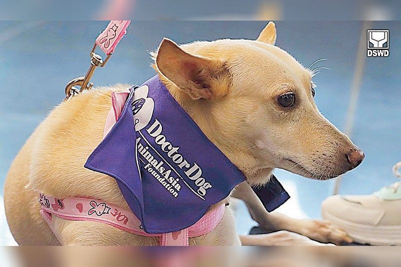 DSWD using dogs for therapy