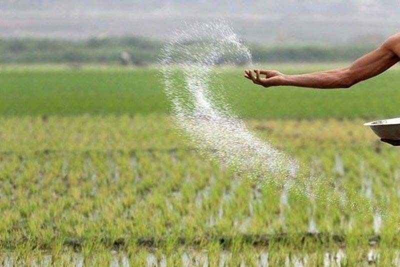 Rodriguez namahagi ng bigas, fertilizers sa magsasaka