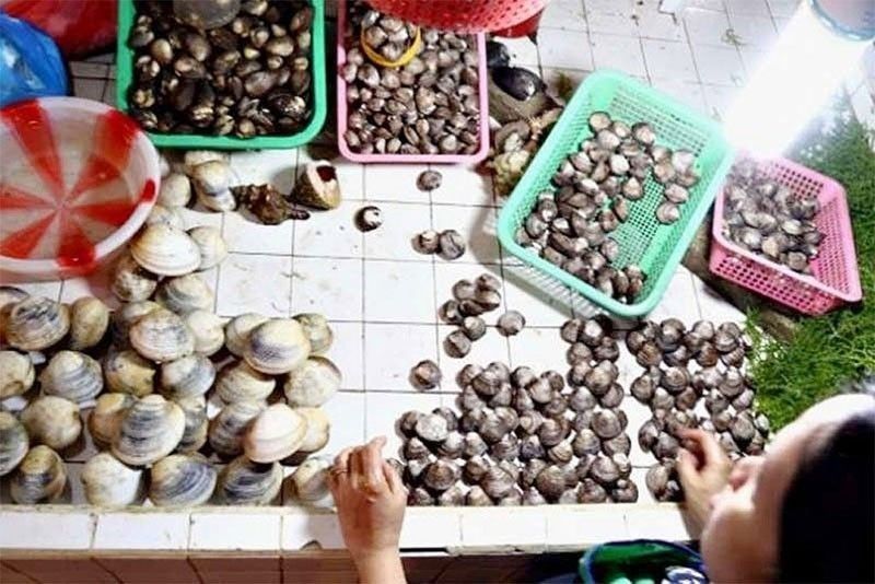 Pagkain ng shellfish sa 6 baybayin, bawal