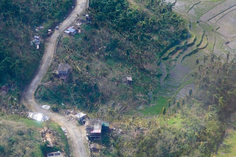 DA: Typhoons left P786 million damage to agriculture