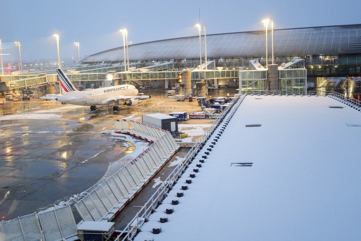 Dog reunites with owner after closing Paris airport runways