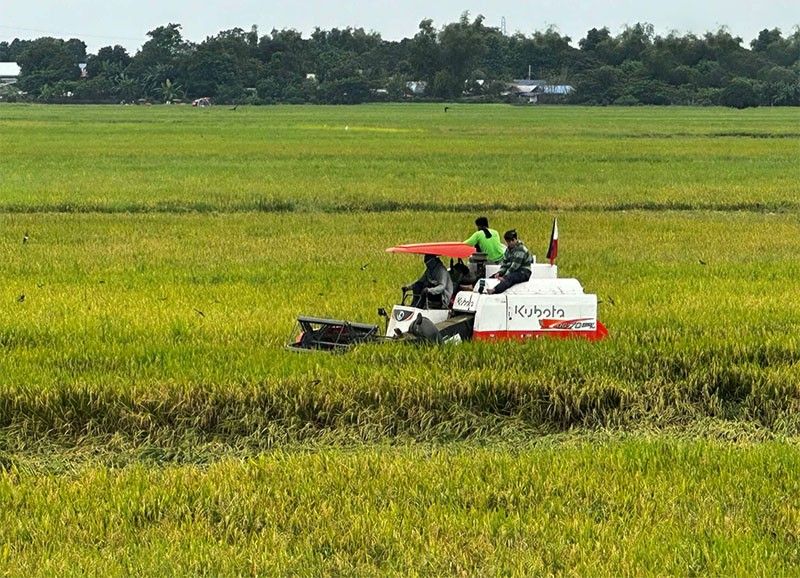 7K magsasaka sa Davao Region laya na sa utang