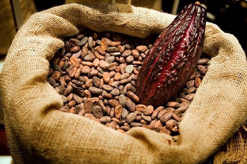 Philippines eyes cacao deal with Chile