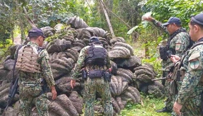 30-toneladang &lsquo;taklobo&rsquo; nasamsam sa Sulu