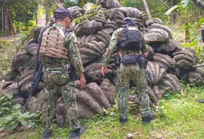 30 tons of giant clam shells seized in Sulu