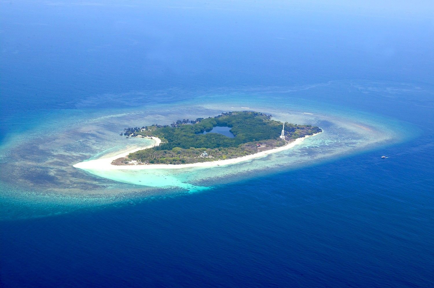 Philippines� Apo Reef, Turtle Islands among new ASEAN heritage parks