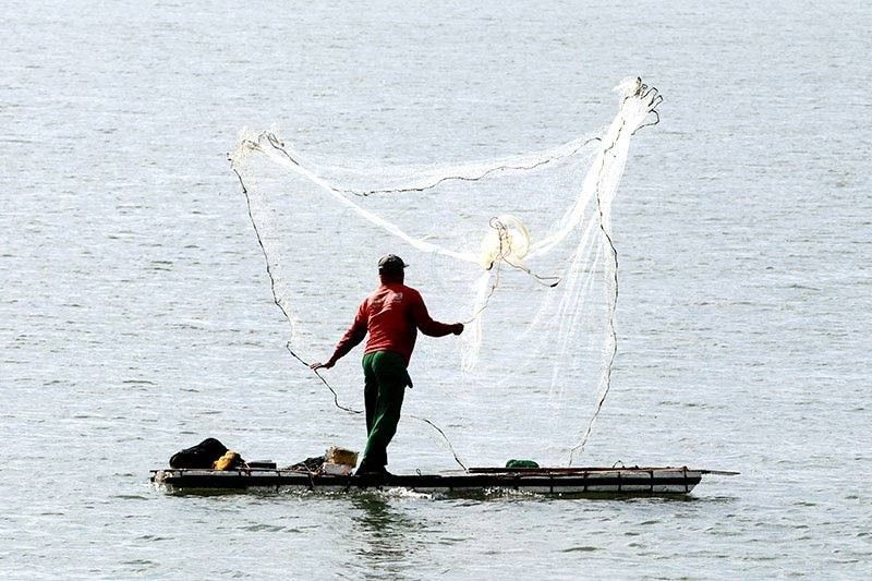 DA-BFAR pinagtibay closed-fishing season