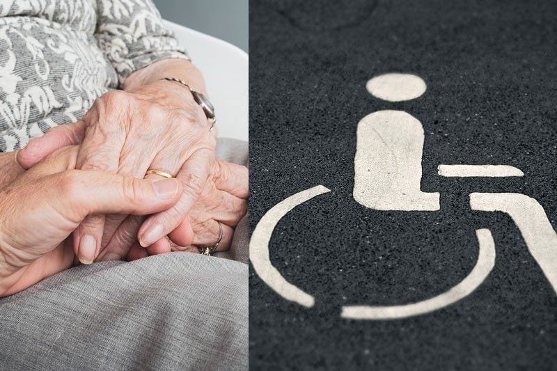 Seniors, PWDs got P12-billion benefits through 20% discount â Salceda