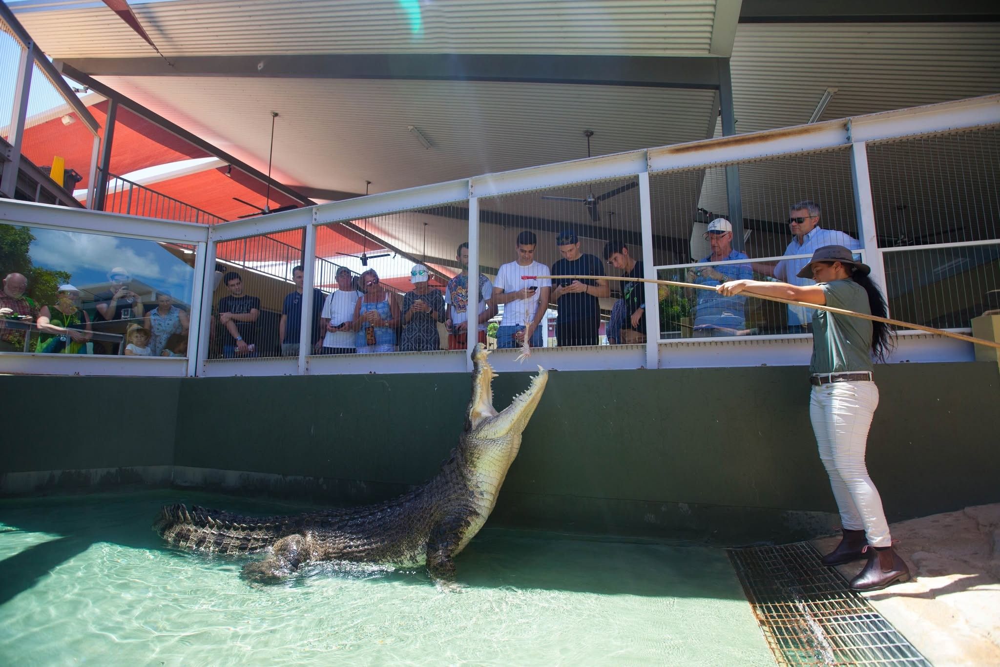 Reptile star of 'Crocodile Dundee' dies at 90